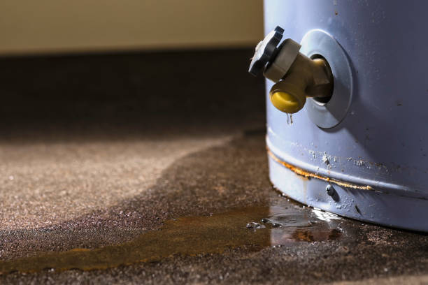 Best Water damage restoration company  in USA